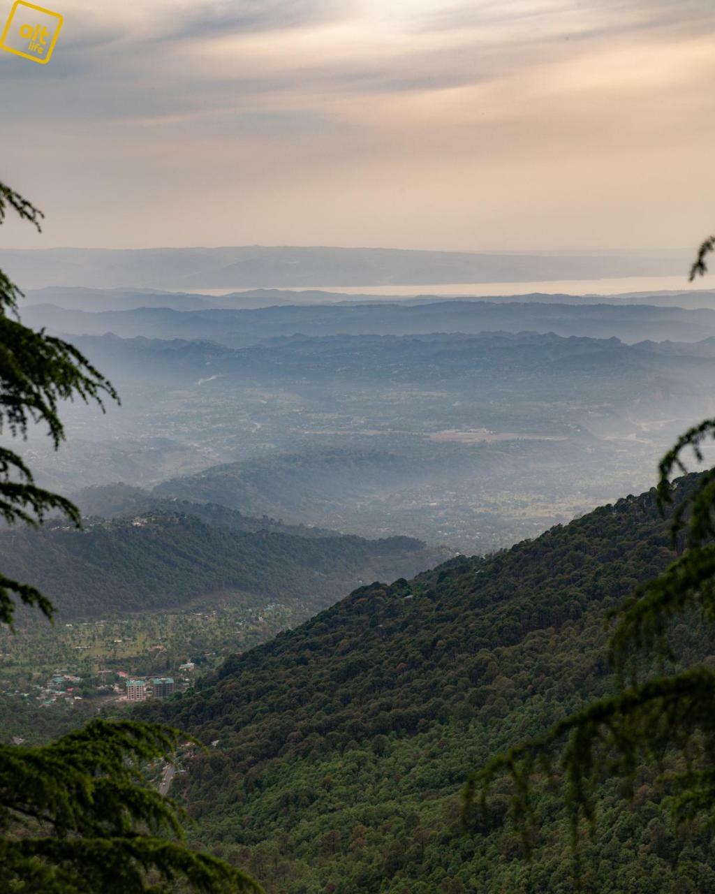 Alt Life - Dharamkot Hostel McLeod Ganj Ngoại thất bức ảnh